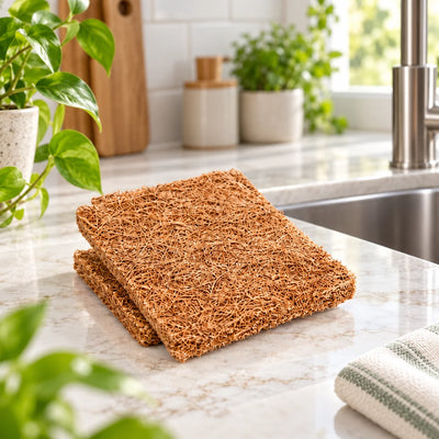 Kitchen Scrub